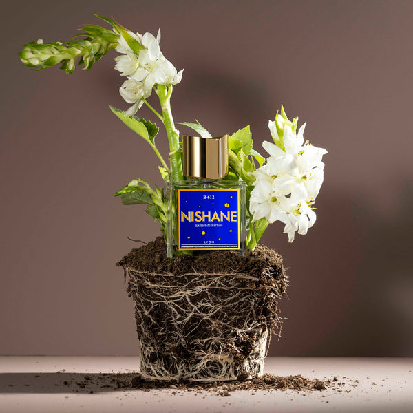 コズメル – NOSE SHOP