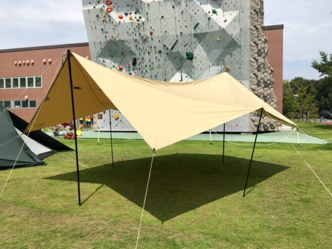 新品マリポサ Mサイズ TC フォレストグリーンbr/ブランド発表時に数量