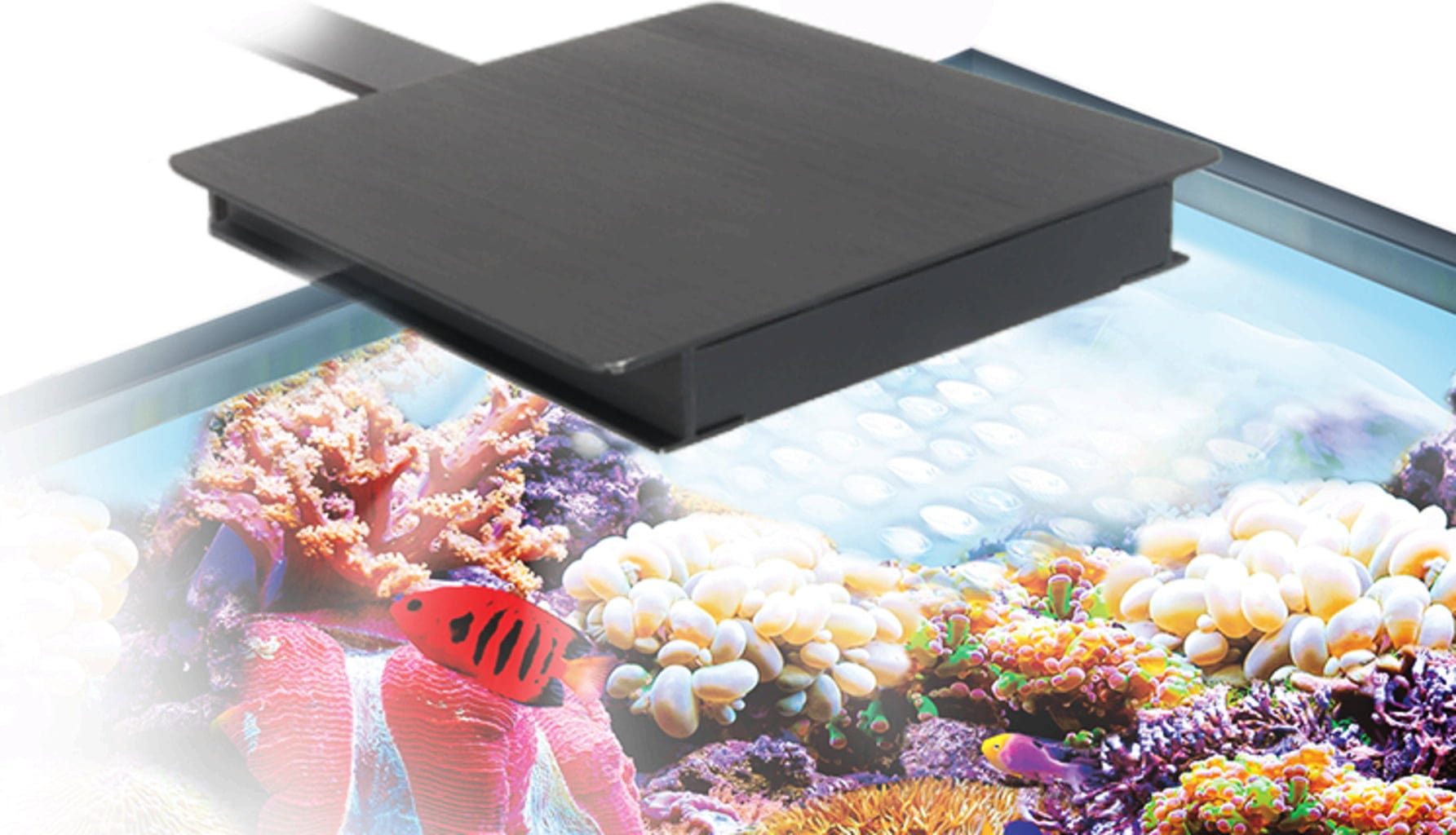 FLUVAL NANO PLANT LED 7500K 1000lm 値下げ！ GEX LED FLUVAL PLANT