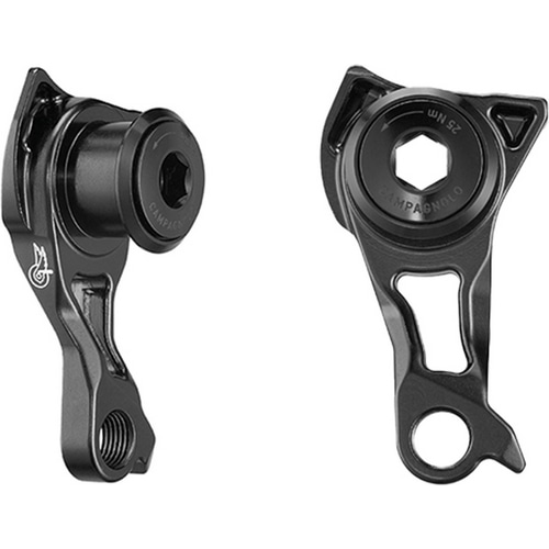 Campagnolo ( カンパニョーロ ) リアディレイラー SUPER RECORD