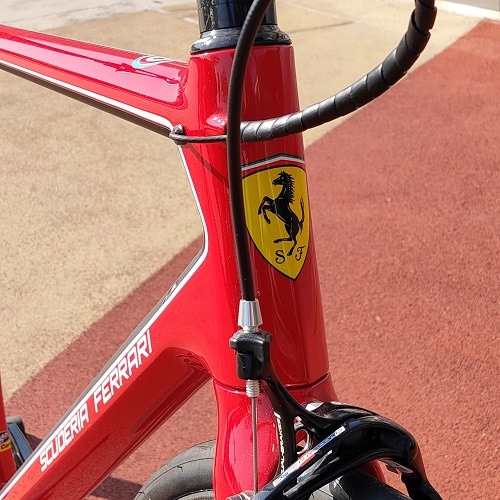 BIANCHI ( ビアンキ ) ロードバイク SF01 S.REC.EPS 50-34 S40 6S 55