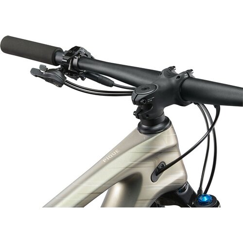 GIANT ( ジャイアント ) マウンテンバイク LIV PIQUE ADVANCED 29ER 2