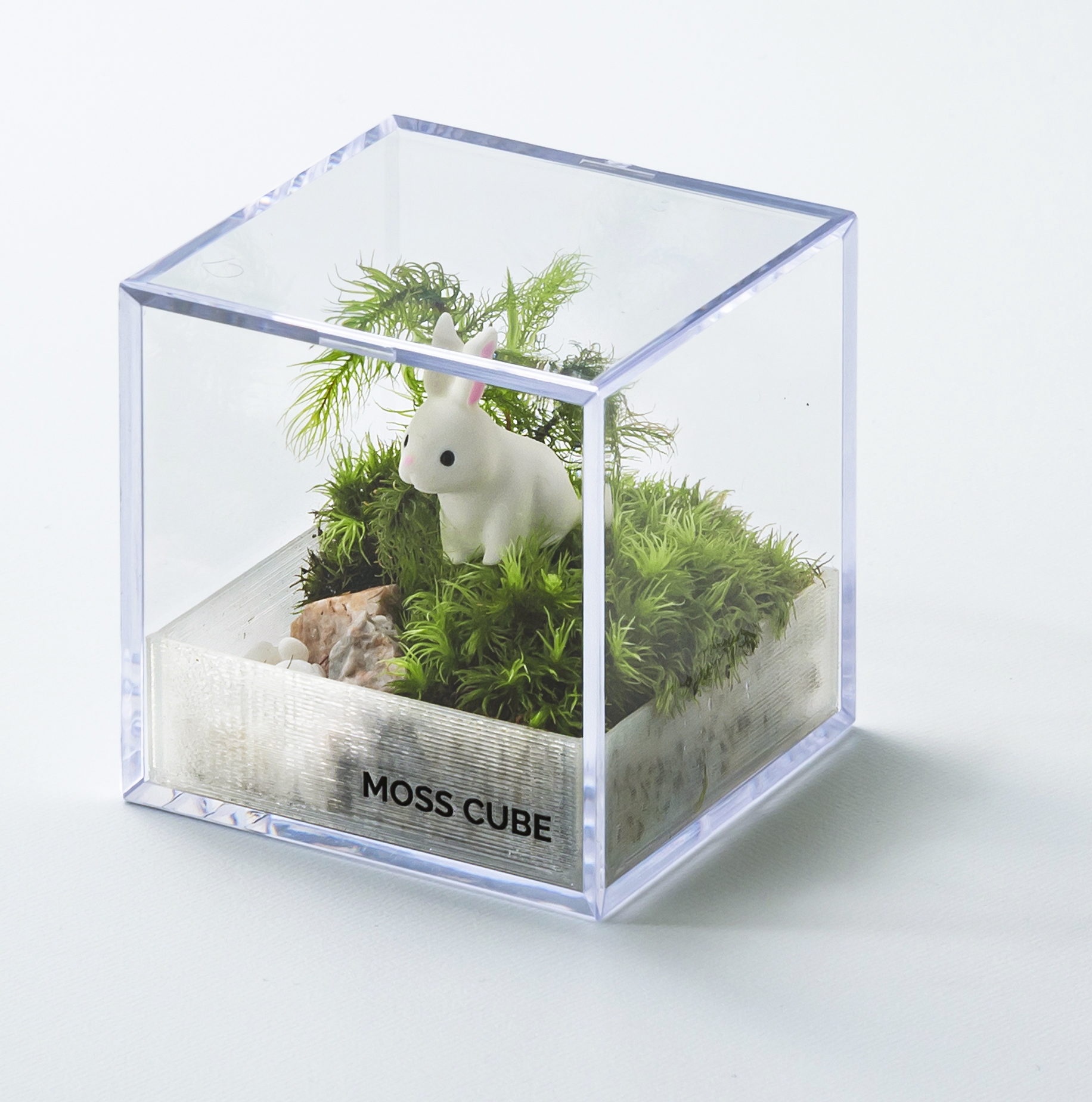 透明キューブで創る未来、万博の新体験！ | でるぞ、万博 出展企業一覧