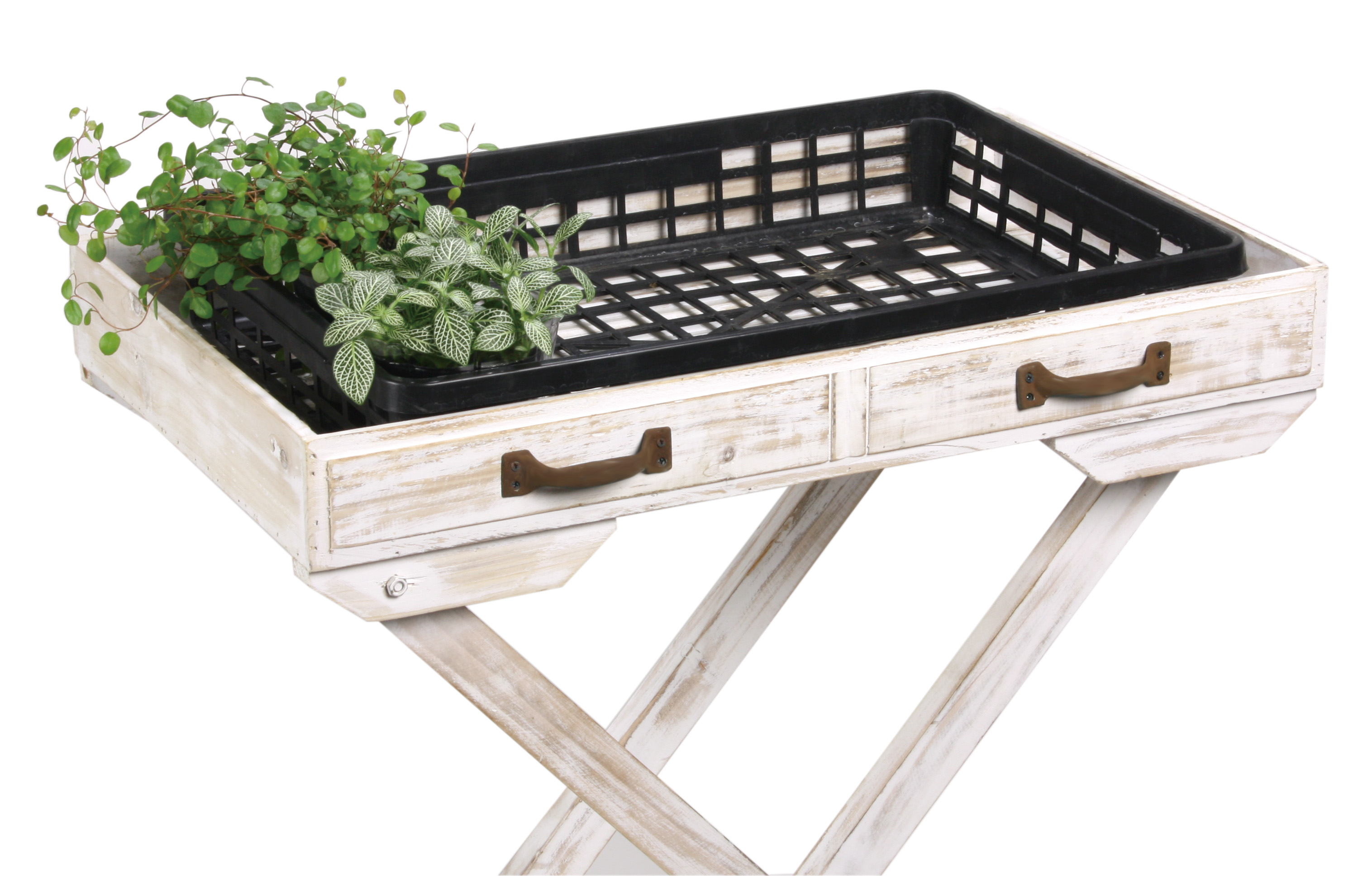 ま*こ様 装飾的金属プランター予約済 ま*こ様 装飾的