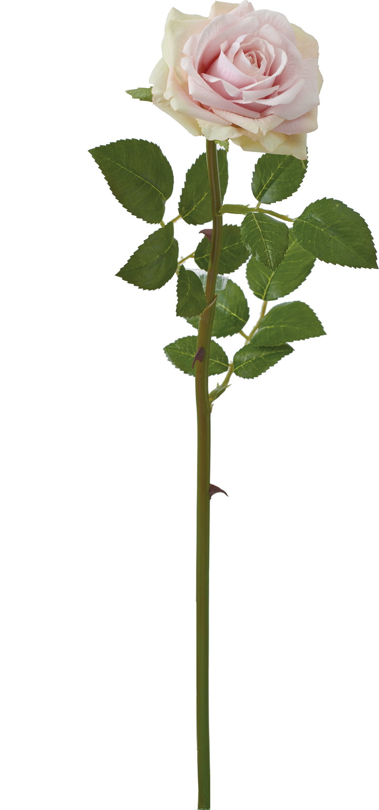 ｴﾚｶﾞﾝﾄﾛｰｽﾞ: 造花（アーティフィシャルフラワー） ｜ YDMオンライン