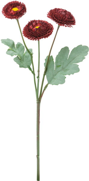 ﾊﾟｾﾘ: クイックオーダーでのみ販売 ｜ YDMオンラインストア ｜ 横浜