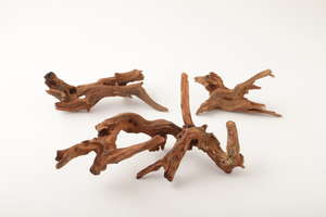 流木 ﾅﾁｭﾗﾙ: ドライフラワー ｜ YDMオンラインストア ｜ 横浜