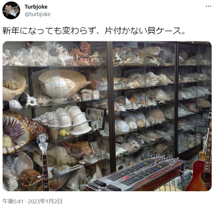 あぁ素晴らしきセカイ その道50年超の貝マスターがコレクションを紹介