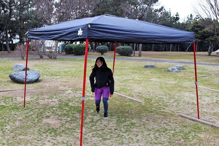 LOGOS QセットBlackタープ 270（キューセットブラックタープ 270）の