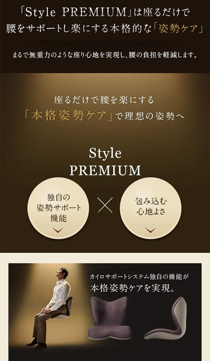 MTGスタイルプレミアム 骨盤・姿勢矯正クッション ブラウン ブラウン