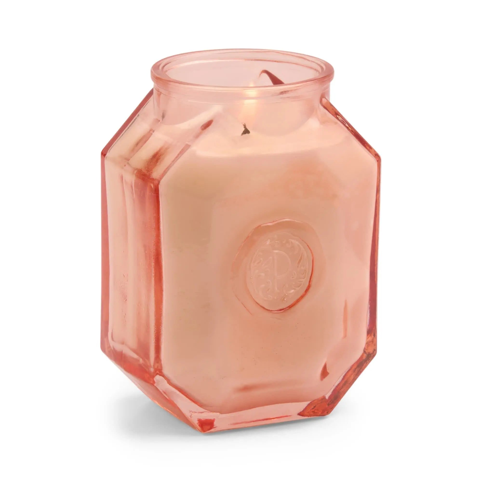 Saffron Rose - 8 oz Candle - Paddywax