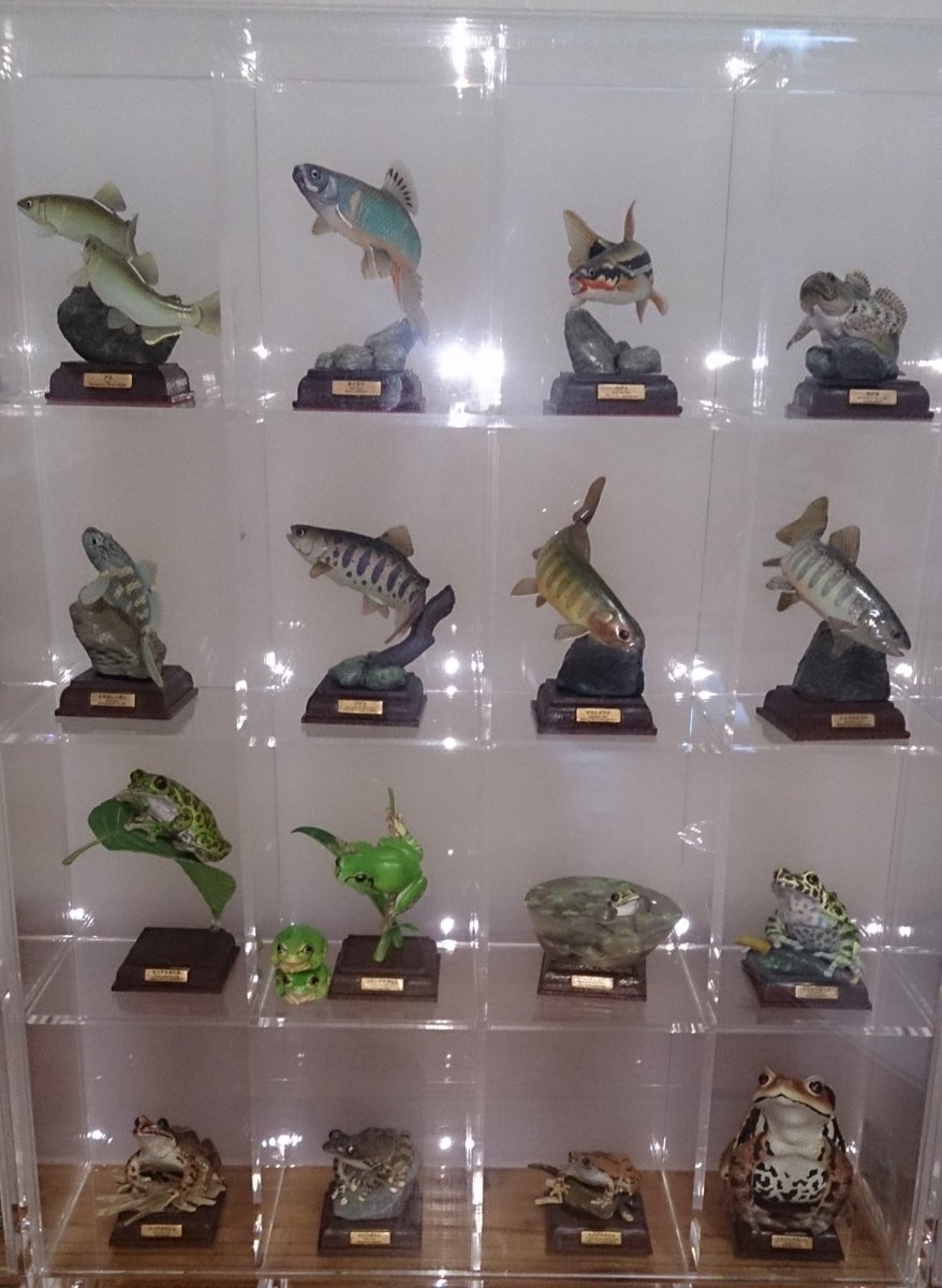 無印良品でコレクションボックス購入。 ネイチャーテクニカラーの台座