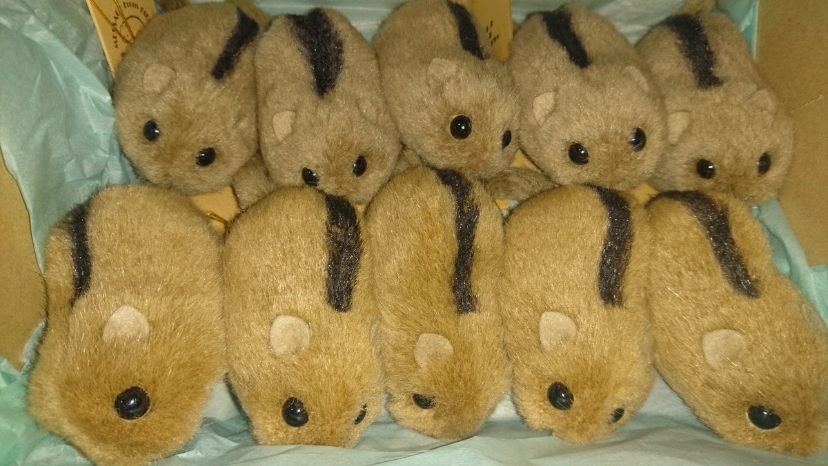 やまね工房のぬいぐるみｷﾀｰ(°▽°) ひんしゅくを買うかも？しれませんが