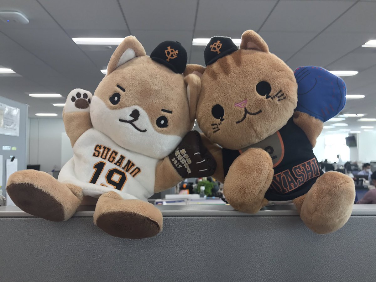 小林誠司 ハンドパペット #リスがコバ が好評販売中！ #菅野智之 投手