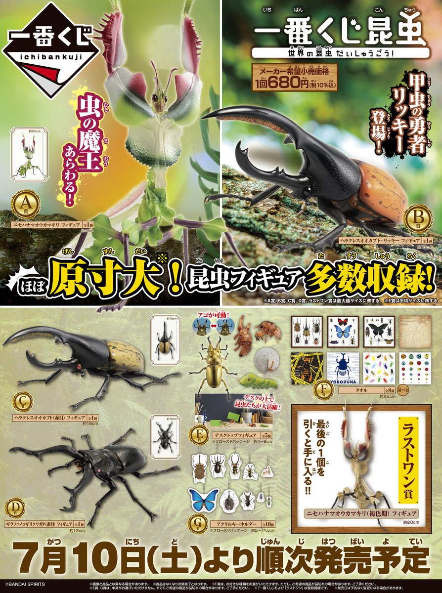 🌳全ラインナップ公開🌳／ 【一番くじ昆虫 世界の昆虫だいしゅうごう