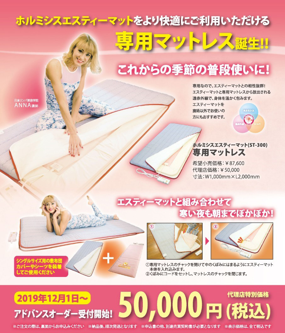 ホルミシス エスティーマット240 4点セット