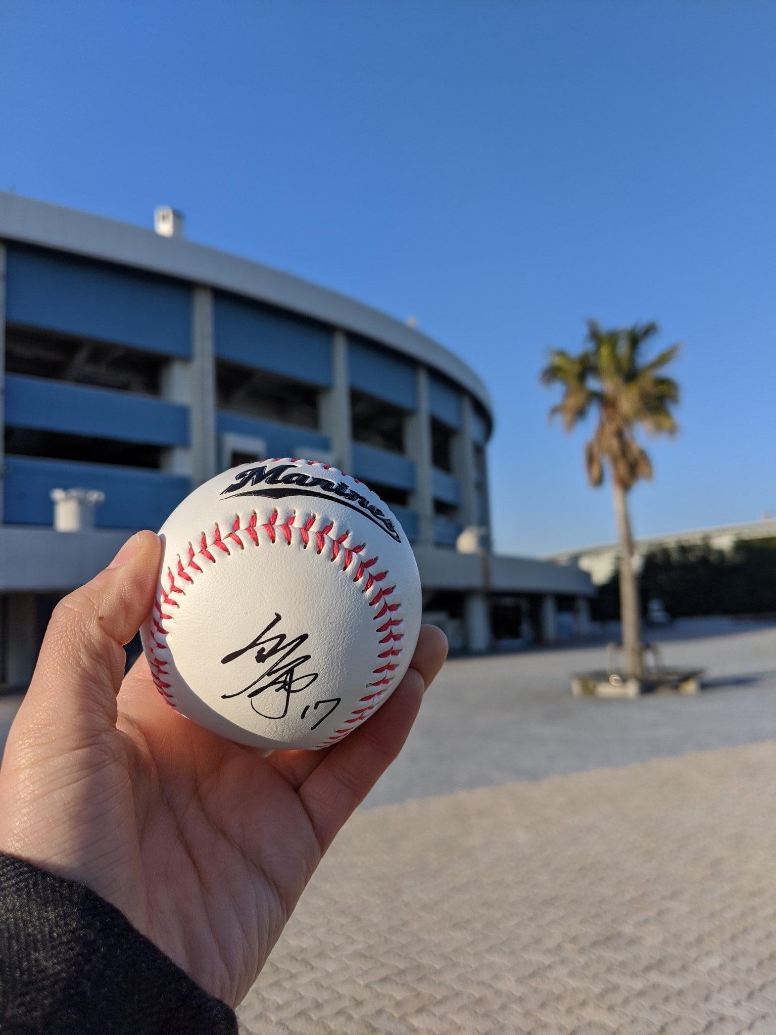 佐々木朗希 球団公式 ロゴ球 直筆サインボール 千葉ロッテマリーンズ