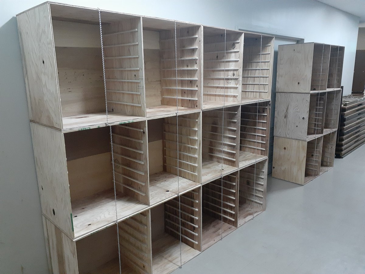 きのうの答え：昆虫標本箱用の収納棚を自作しました。大型ドイツ箱が16
