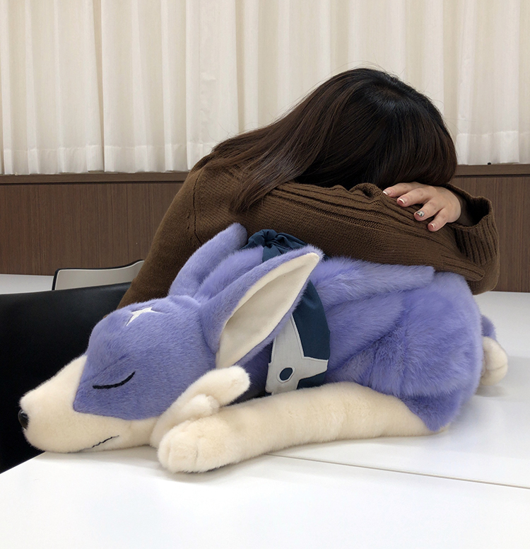 MHライズ】大好評予約受付中『モンスターハンターライズ』イーカプコン