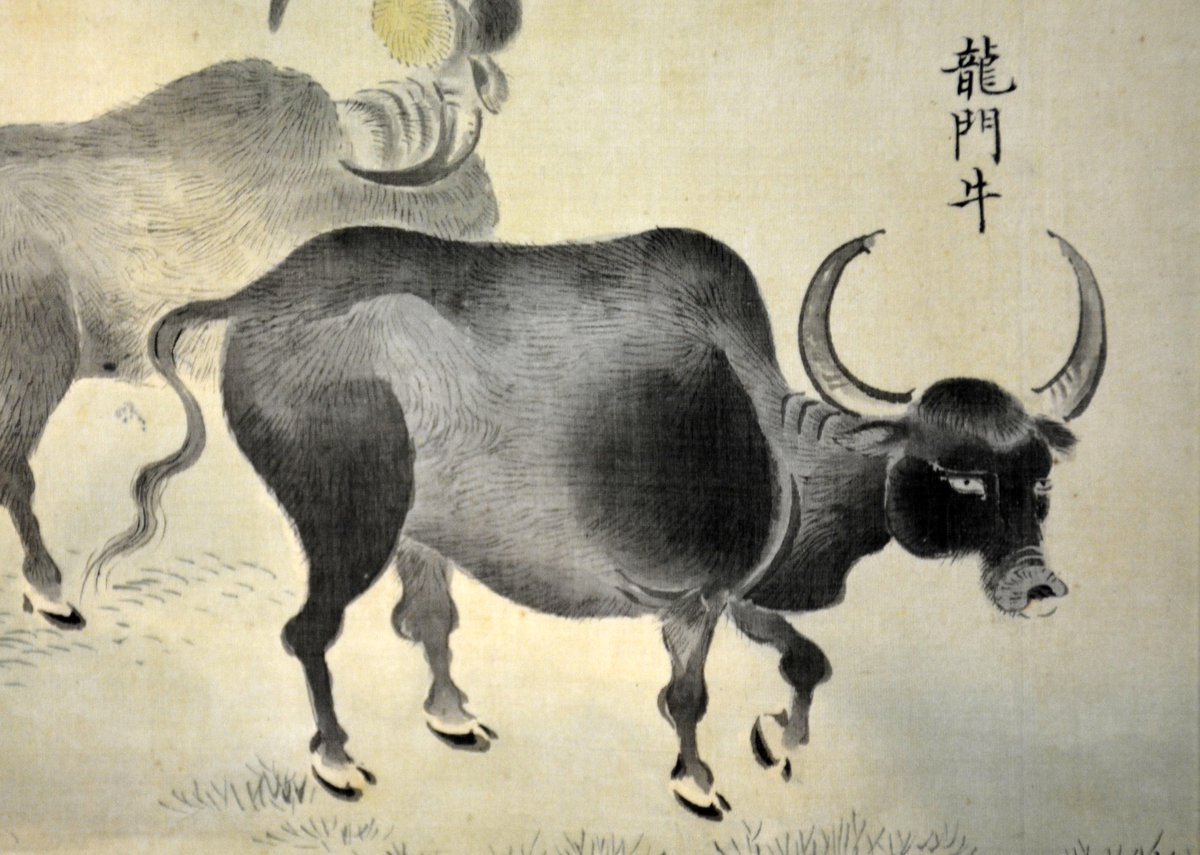 描かれたウマやウシは、それぞれに毛色や模様に特徴があり、名称が