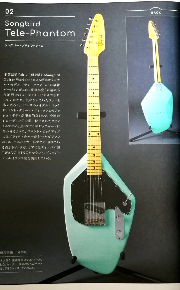 欲しいギター ただ眺めていたい #テレファントム #浮雲 #長岡亮介