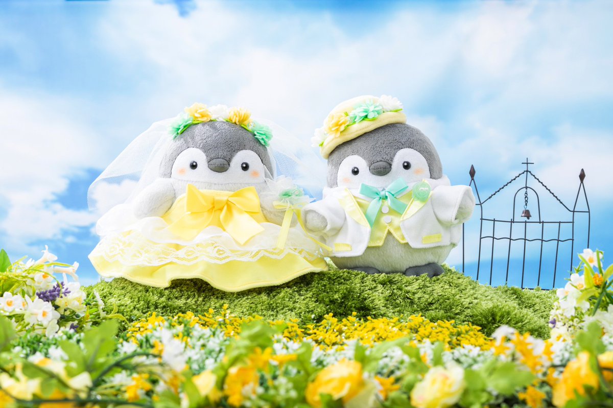 🍀ご予約受付中🍀 『コウペンちゃん 新郎さん・新婦さんに なっちゃっ