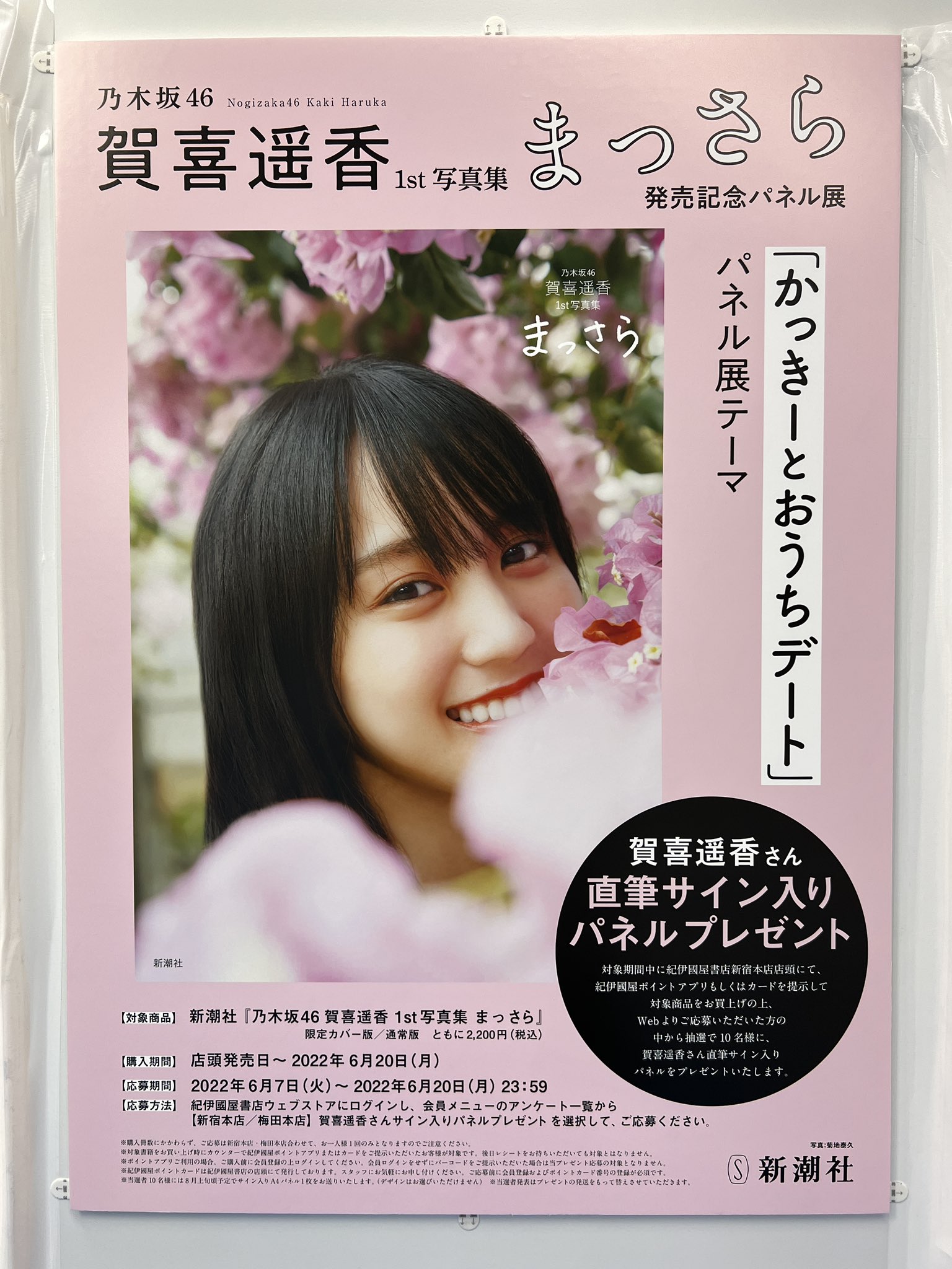 賀喜遥香 【まっさら】 直筆パネル 渋谷タワレコ当選品 乃木坂46賀喜