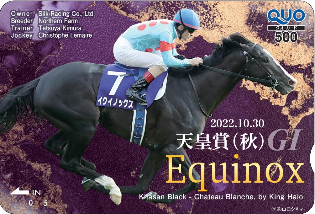 天皇賞（秋）イクイノックスポスター ❤競馬❤【ポスター】イク