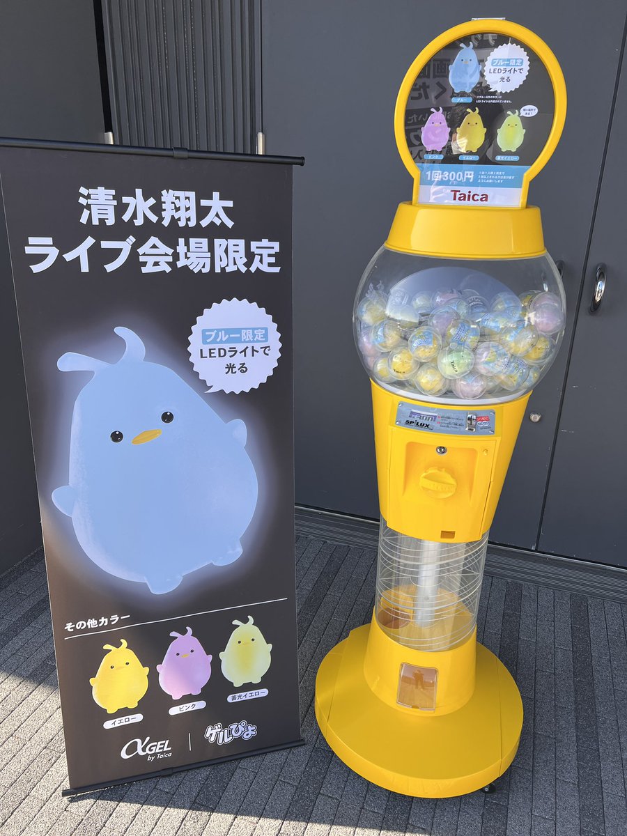 東京公演ではゲルぴよカプセルトイも設置しています🐣 #ぷにっとゲル