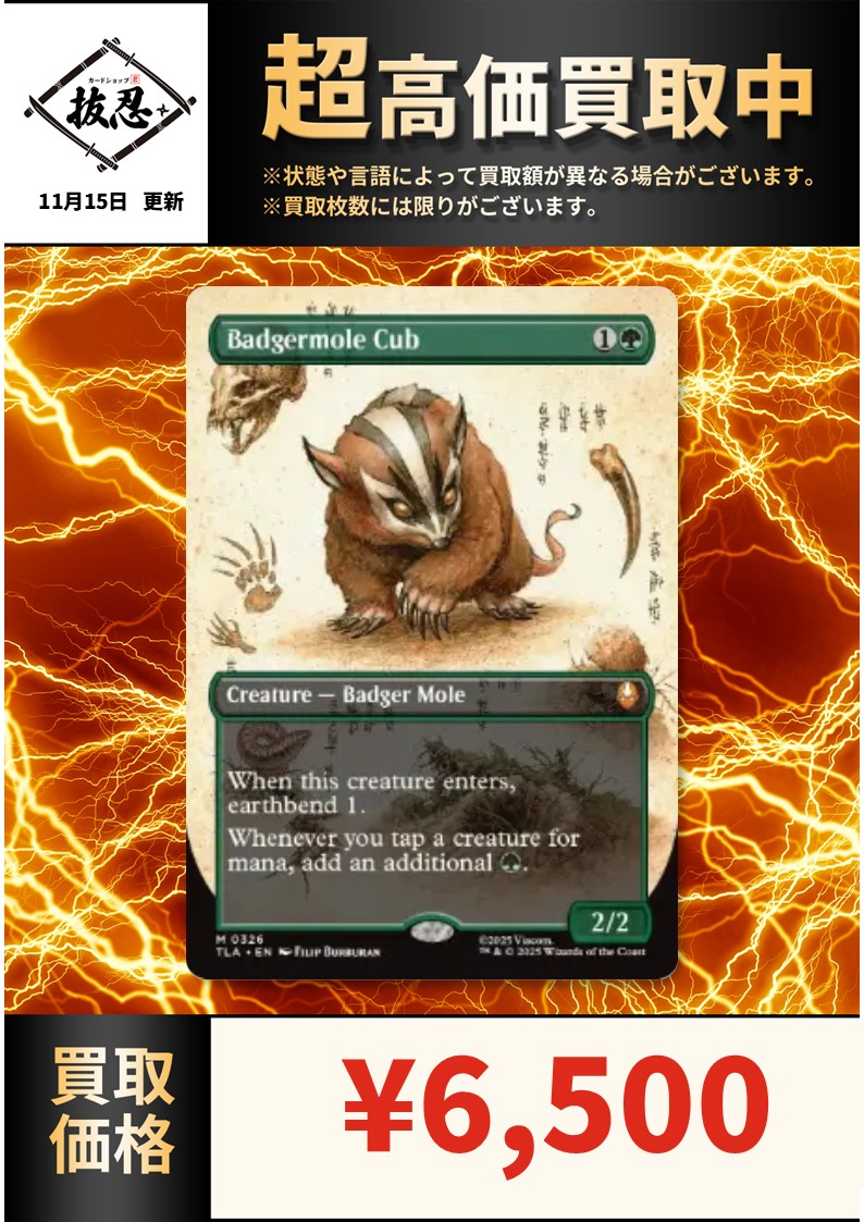 MTG アナグマモグラの仔 英語版 EX]アナグマモグラの仔/Badgermole Cub