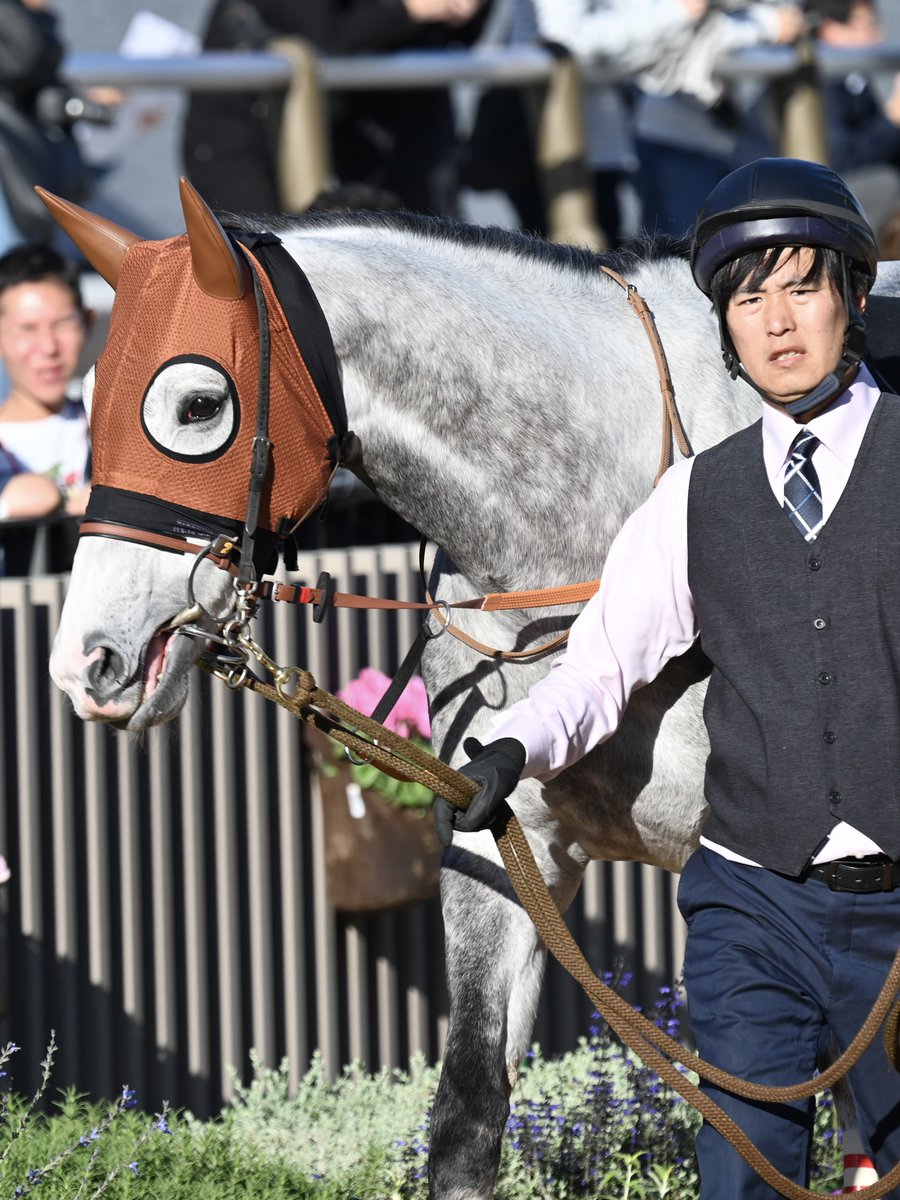 馬の群れ 金色フレーム 馬の群れ 金色フレーム ゴールドフレーム (Gold