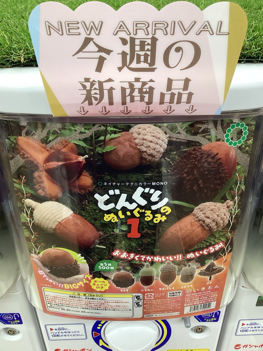 ⛄️ガシャココ 平安堂あづみ野 入荷商品🎄 🌳#NTC MONO どんぐりの