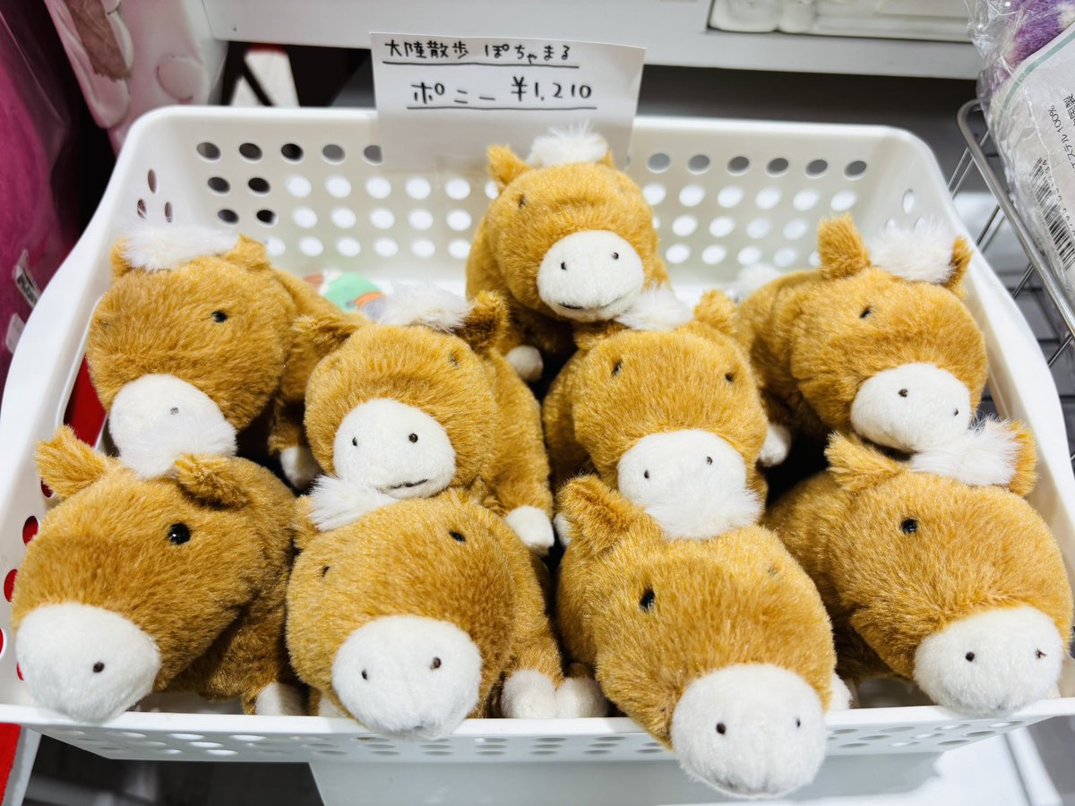 ぽちゃまる の『ポニー』を歌番組で、 Mrs. GREEN APPLE様にご使用