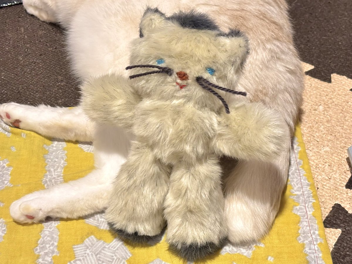 そぼろ (@sobokoara) / Posts / X