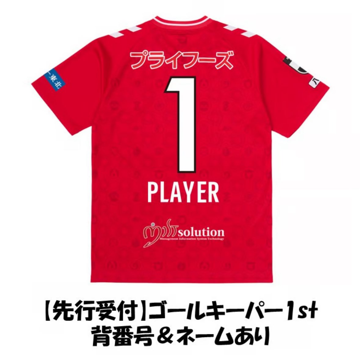 ヴァンラーレ八戸 サイン入りユニフォーム ヴァンラーレ八戸 サイン