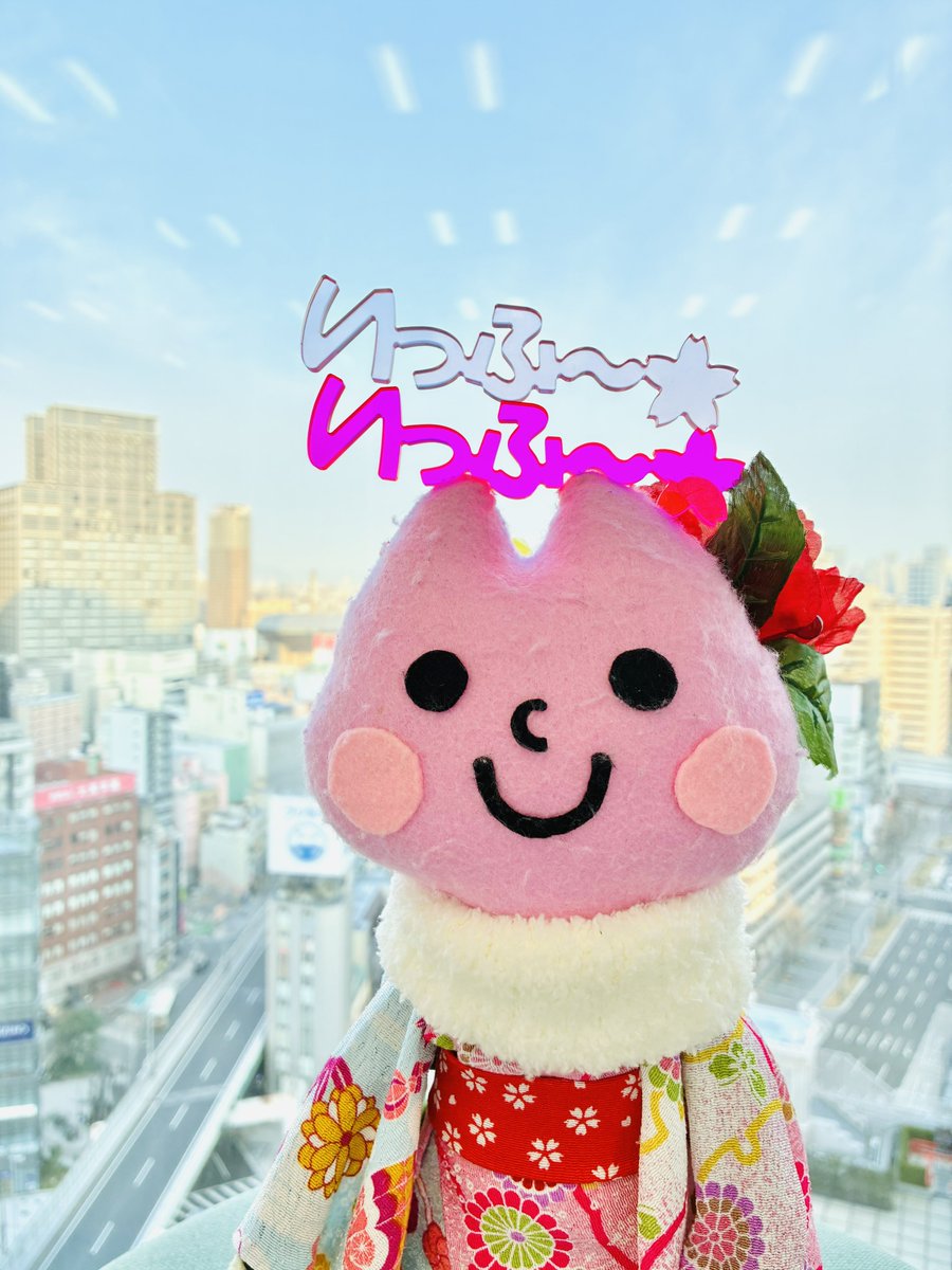 ピンクx4点]ゆらゆらイカちゃん SNSで話題】 ゆらゆらイカちゃん