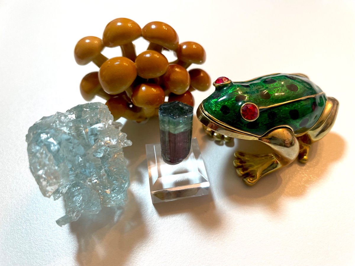 希少 ル−マニア産ヨ−ロッパミヤマ♂野外標本 希少 ル−マニア産