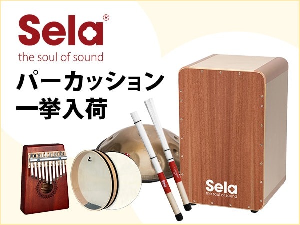 カホン ハンドメイド (otoharuさん専用) カホン ハンドメイド (otoharu