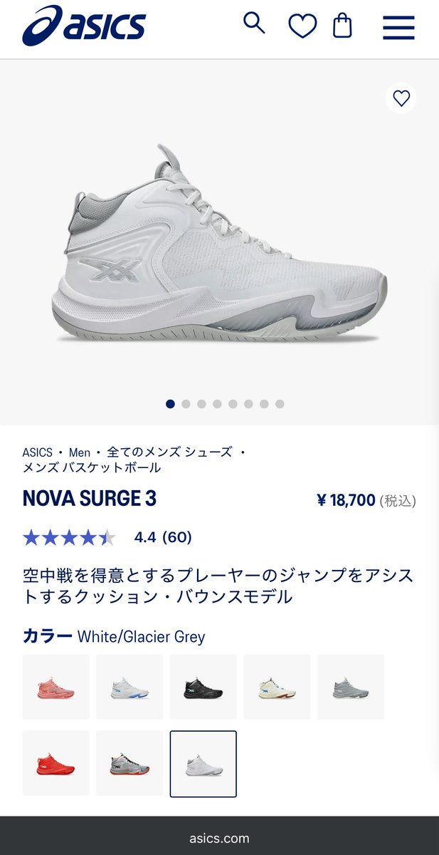 渡邊雄太選手はアシックスのNOVA SURGE 3を履いているっぽい