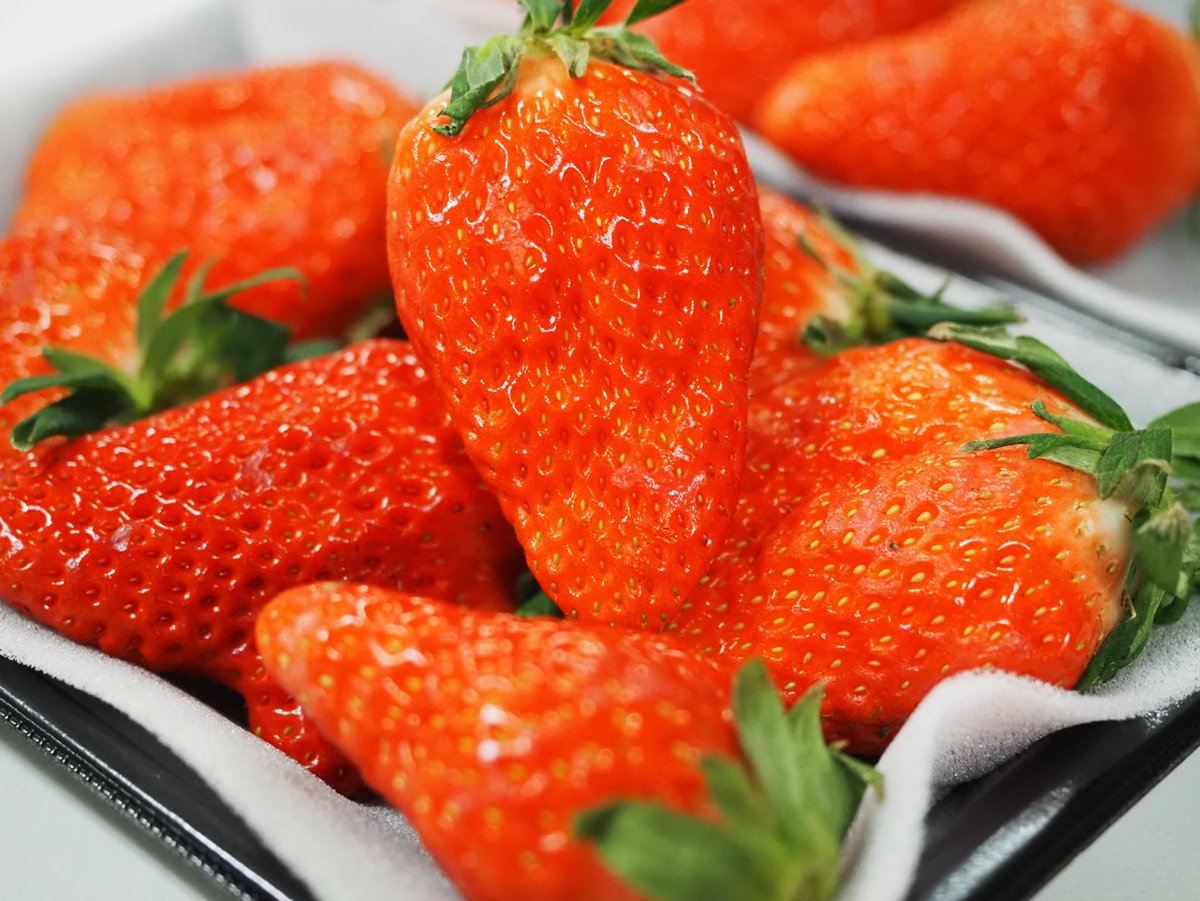 このイチゴの品種名わかる人～😁 🍓#苺の断面図 カタログ Ver.06 を