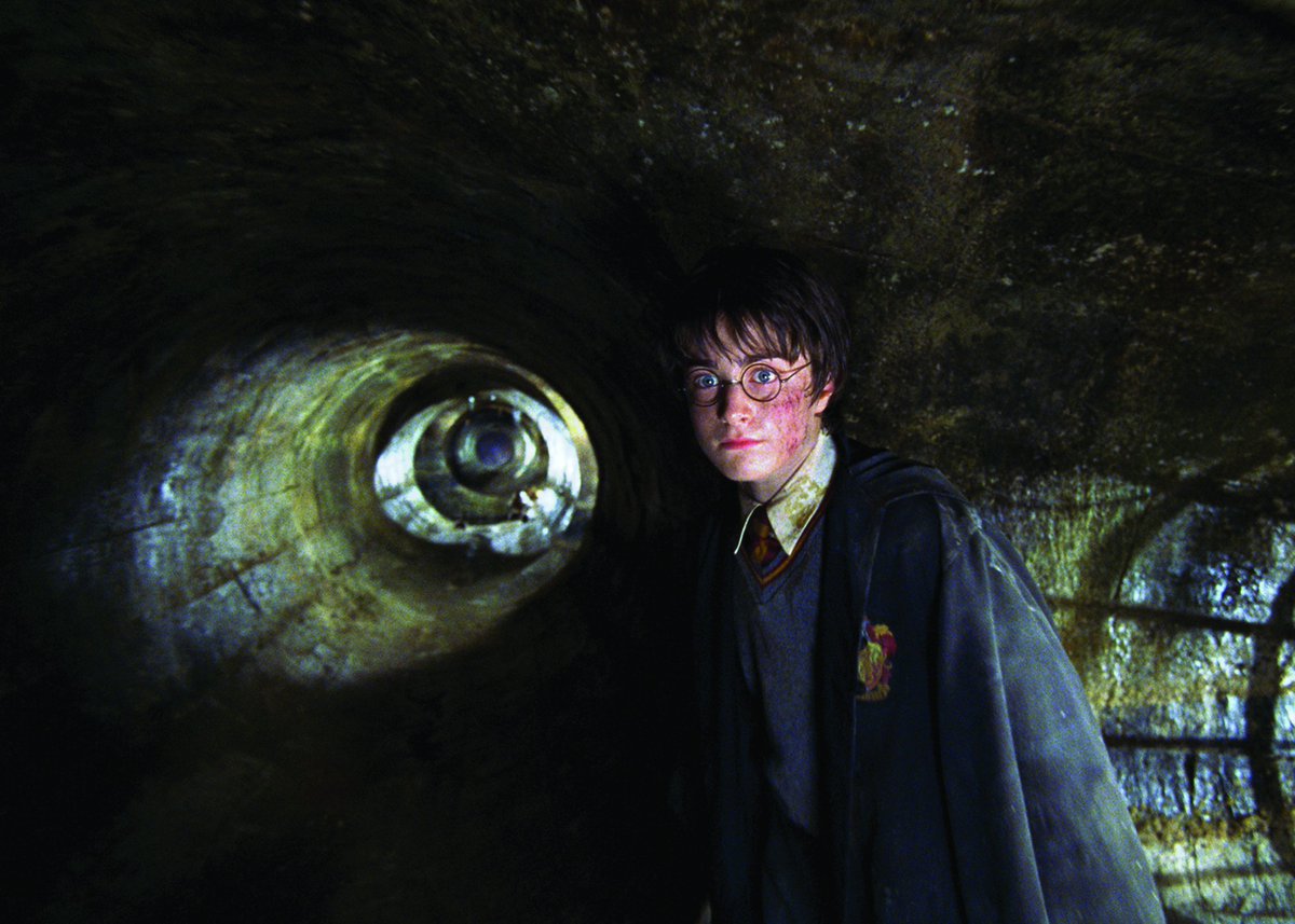 蛇の王としても知られるバジリスクは、魔法省分類で「XXXXX：魔法使い