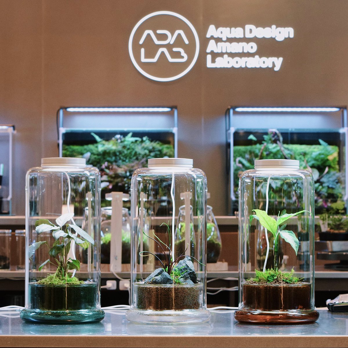 CELL ：EMERALD / AMBER / CLEAR 3つのパーツに分かれた構造で、熱帯