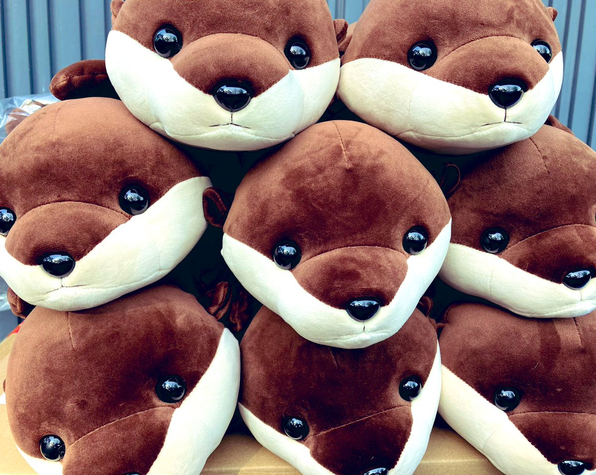 🌟カワウソくじイベントのお知らせ🌟 特別企画！水族館エントランスに