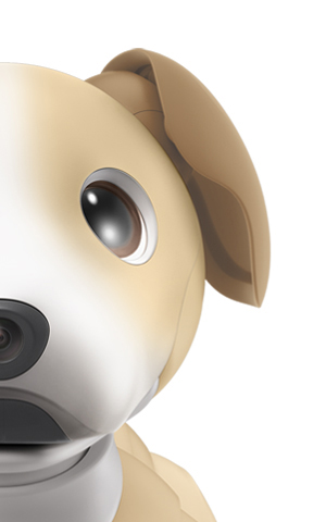 aibo きなこエディション 受注受付中📣 きなこエディション限定の特別