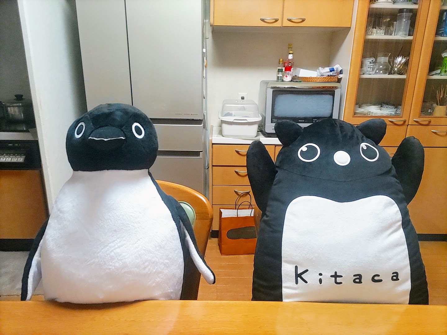 JR北海道限定 Kitaca キタカ エゾモモンガ ぬいぐるみ自宅保管品電車