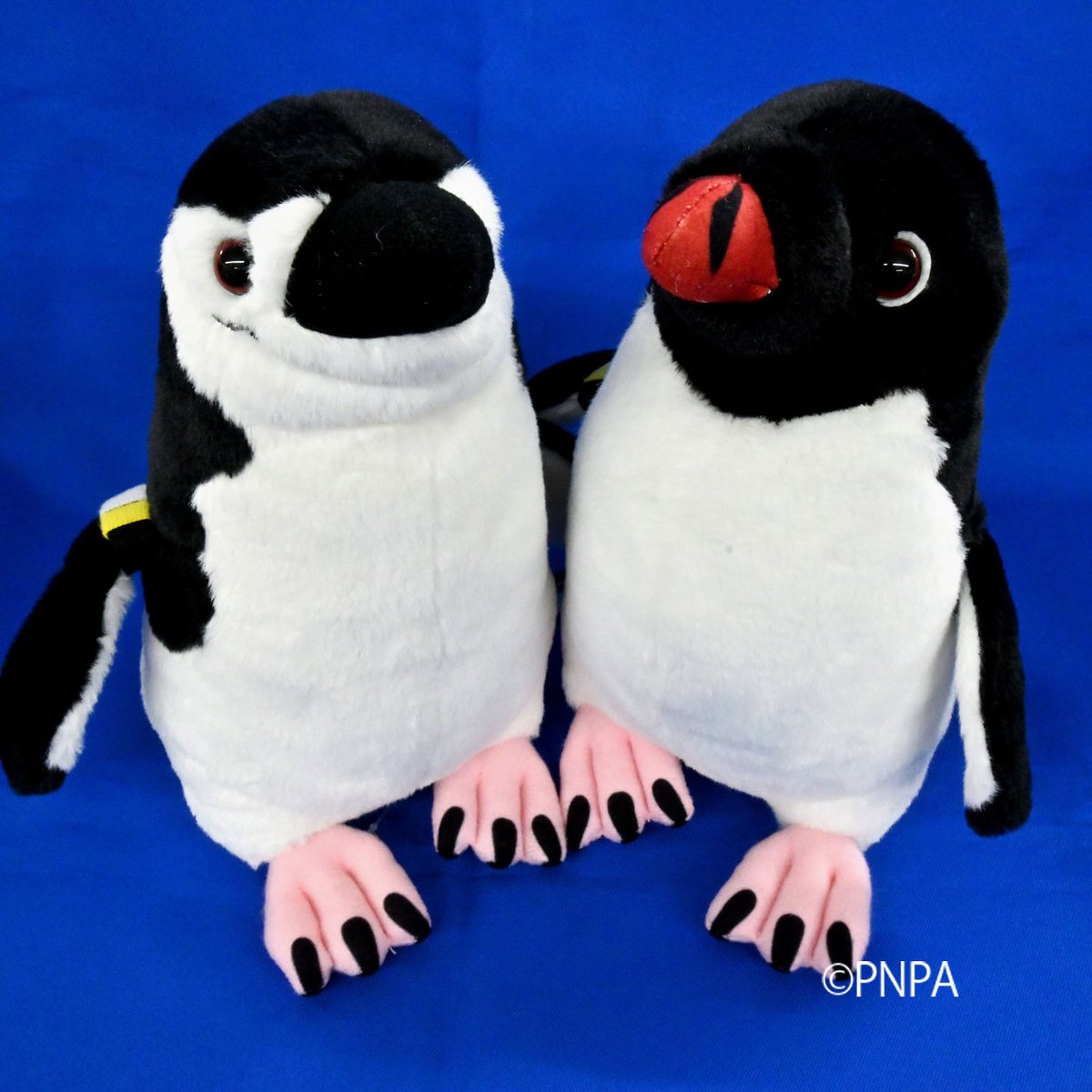 飼育係監修ぬいぐるみ「アデリーペンギン」と「ヒゲペンギン」を本日