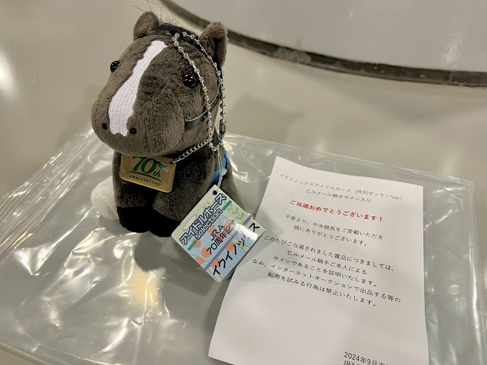 イクイノックス 2022 天皇賞・秋 ミニゼッケン ルメール直筆サイン馬券
