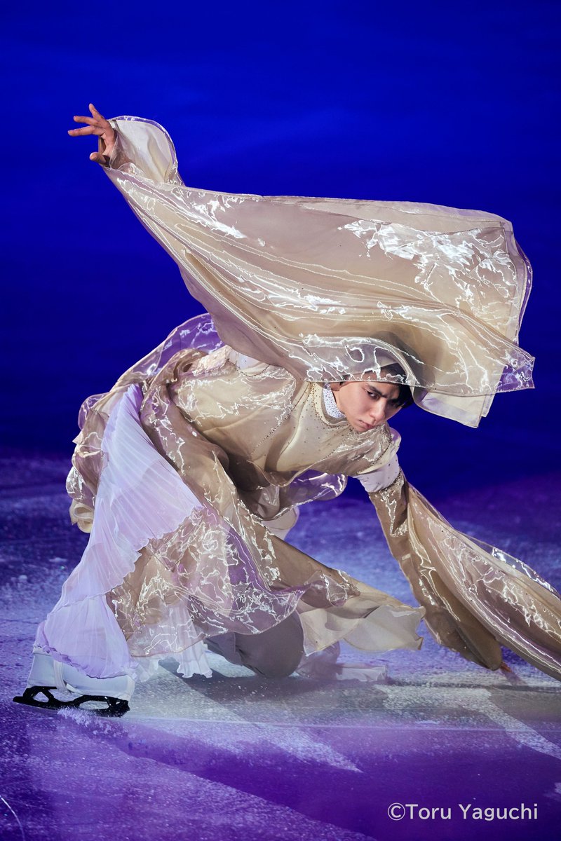 ミモザ mimosa (@p15d84) / Posts / X