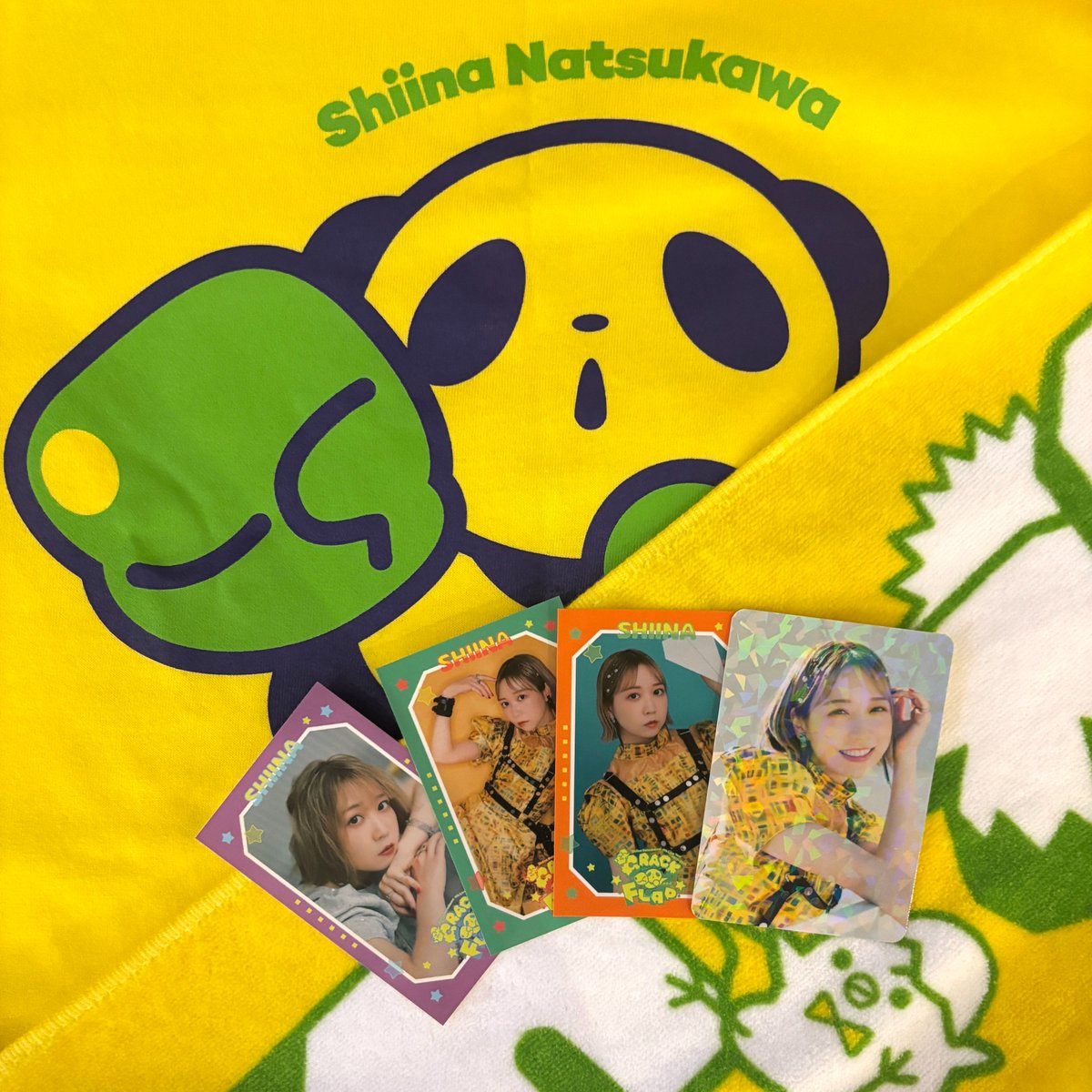 夏川椎菜 4th Live Tour 2025-2026 “CRACK and FLAP” TrySail Portal