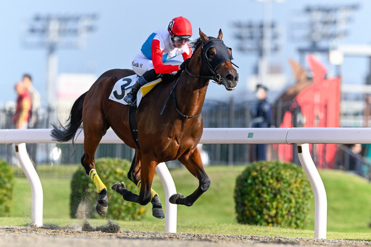 ミカエル・ミシェル 直筆サイン付き写真 南関東競馬 JRA 証明書付き1枚